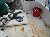 Tàu kéo lưới để bán