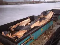 Sà lan để bán