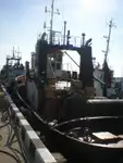 Tàu kéo để bán