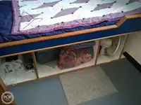 Tàu đánh cá để bán