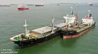 Tàu chở hàng rời để bán