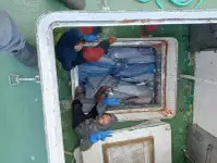 Tàu kéo lưới để bán