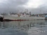 Tàu câu dài để bán