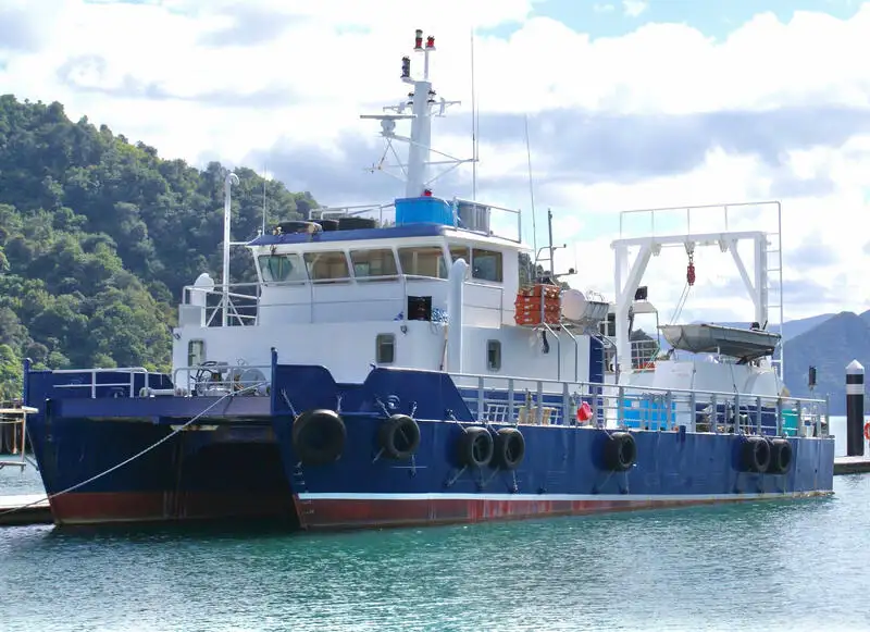 Catamaran rao bán