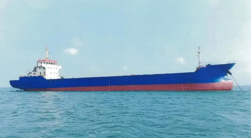Tàu container rao bán
