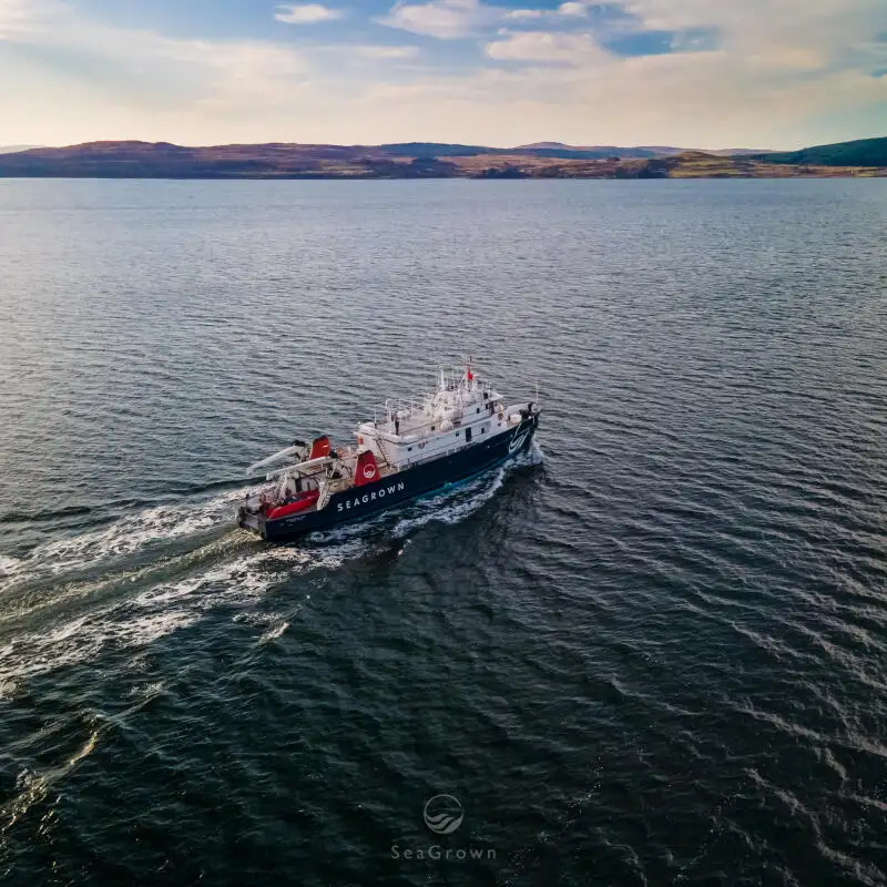 Tàu khảo sát rao bán