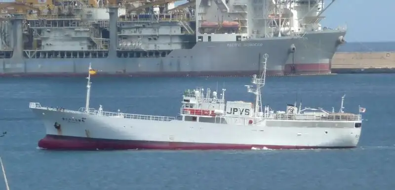 Câu cá Trawler rao bán