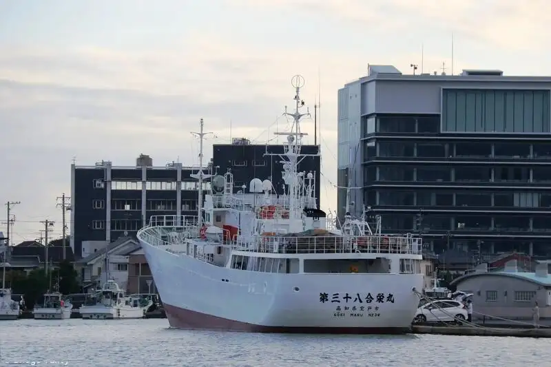 Câu cá Trawler rao bán