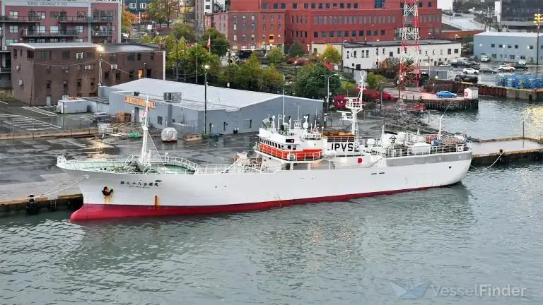 Câu cá Trawler rao bán