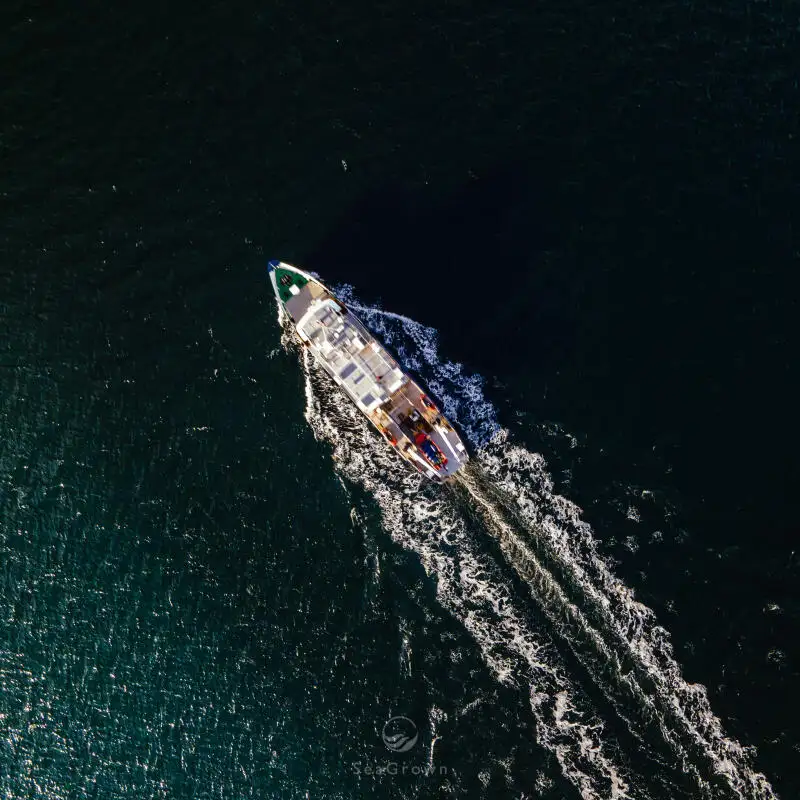 Tàu khảo sát rao bán