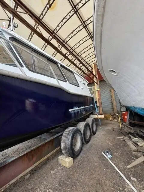 Câu cá Trawler rao bán