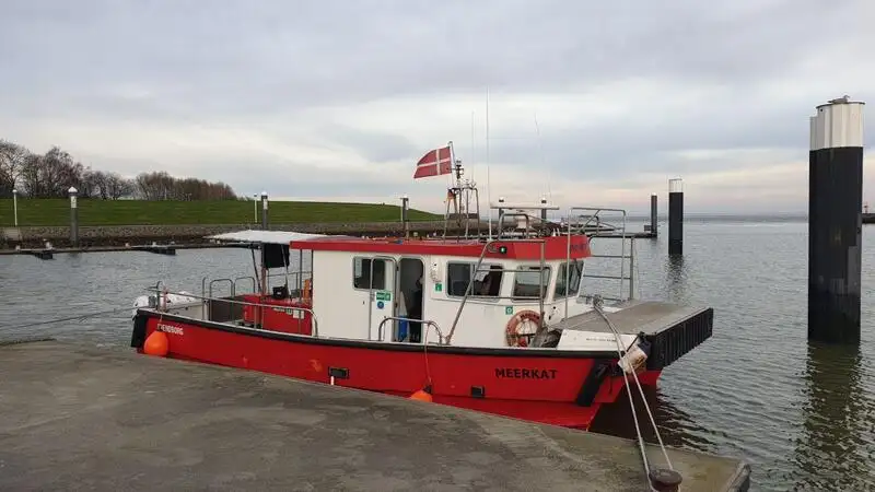 Catamaran rao bán
