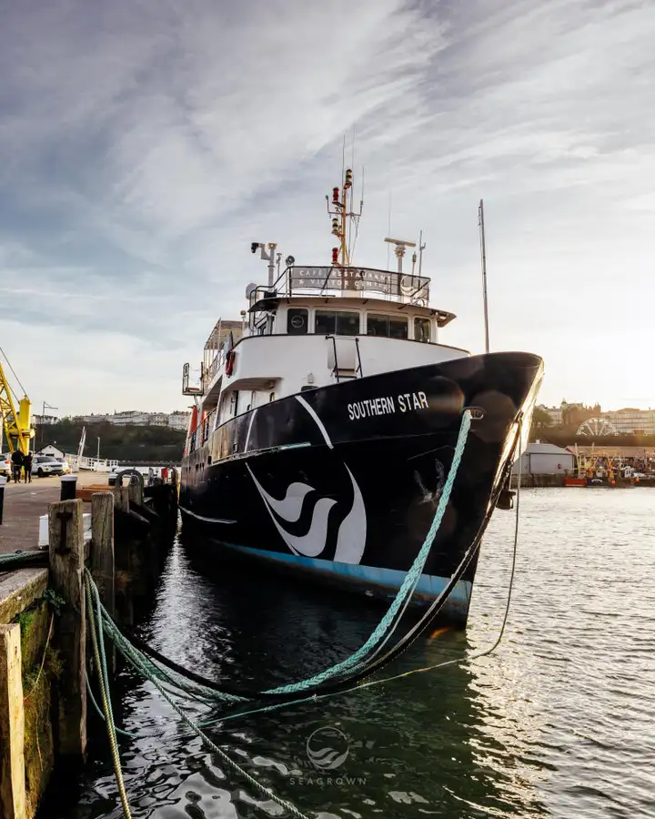 Tàu khảo sát rao bán