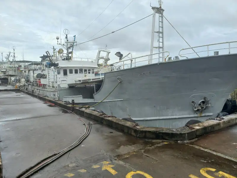 Tàu đường dài rao bán