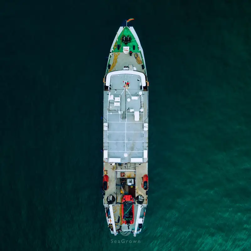 Tàu khảo sát rao bán