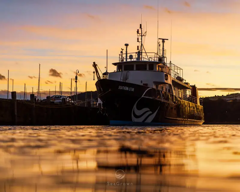 Tàu khảo sát rao bán
