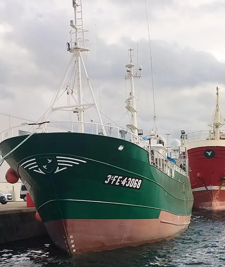 Câu cá Trawler rao bán