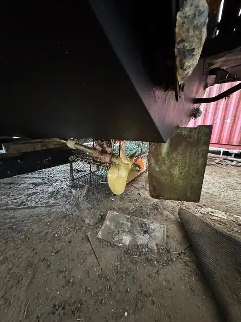 Câu cá Trawler rao bán