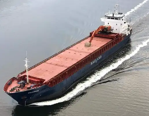 Bulk carrier for sale