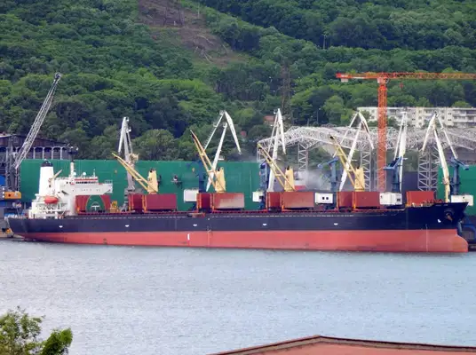 Bulk carrier for sale