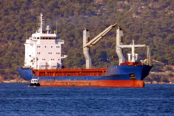 Bulk carrier for sale