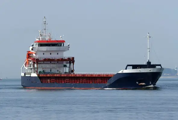 Bulk carrier for sale