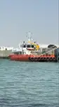 Catamaran rao bán