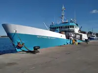 Câu cá Trawler rao bán
