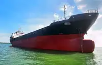 Tàu container rao bán
