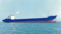 Tàu container rao bán