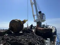 Đa mục đích rao bán