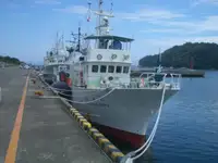 Câu cá Trawler rao bán
