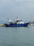 Câu cá Trawler rao bán
