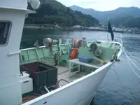 Câu cá Trawler rao bán