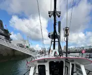 Thuyền hoa tiêu rao bán