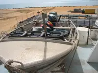 Catamaran rao bán