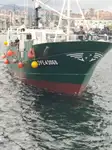 Câu cá Trawler rao bán