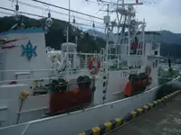Câu cá Trawler rao bán