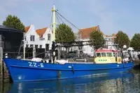 Câu cá Trawler rao bán