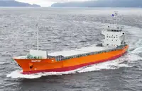 Tàu container rao bán
