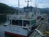 Câu cá Trawler rao bán