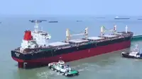 Chuyên chở khối lượng lớn rao bán