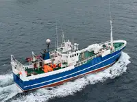 Câu cá Trawler rao bán