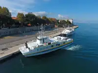 Catamaran rao bán