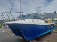 Câu cá Trawler rao bán