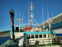 Câu cá Trawler rao bán