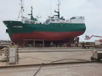 Câu cá Trawler rao bán