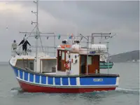Câu cá Trawler rao bán