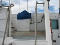 Catamaran rao bán
