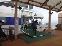 Catamaran rao bán